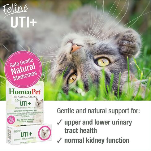 HomeoPet Feline UTI Plus Urinary-Tract Relief, Urinary-Tract Support for Cats, 15 Milliliters in Kuwait