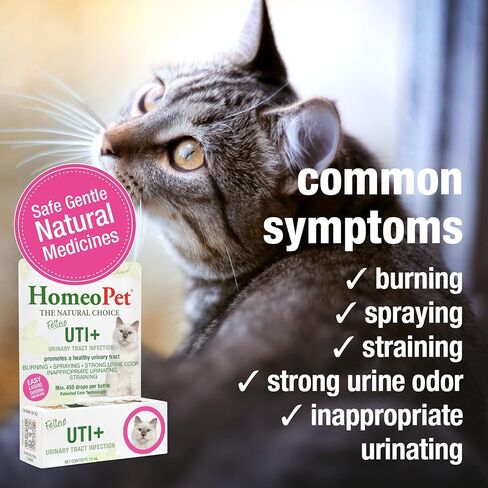 HomeoPet Feline UTI Plus Urinary-Tract Relief, Urinary-Tract Support for Cats, 15 Milliliters in Kuwait