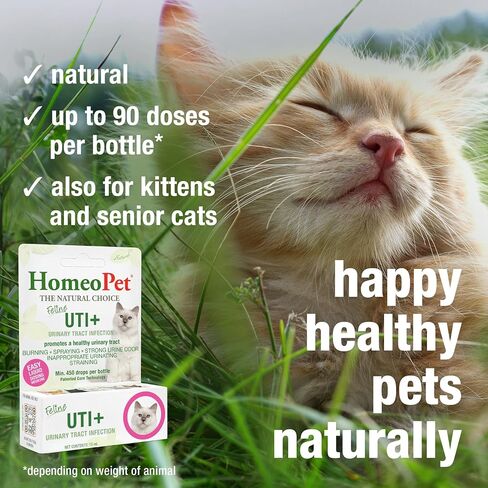 HomeoPet Feline UTI Plus Urinary-Tract Relief, Urinary-Tract Support for Cats, 15 Milliliters in Kuwait
