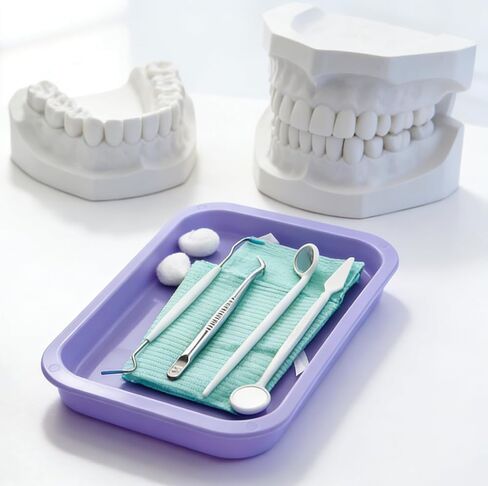صينية إجراءات بلاستيكية للأسنان، 3 قطع من YOUYA DENTAL، صينية تطهير الأسنان قابلة للتعقيم، صواني جراحية طبية، لوحة تنظيم الأدوات المسطحة لمعدات طب الأسنان، معدات وشم الأظافر - 9.4 بوصة × 6.6 بوصة in Kuwait