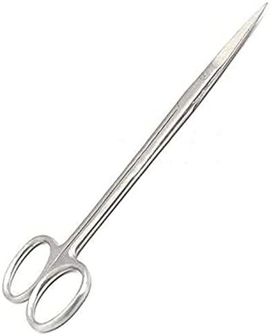Dental Scissor Kelly Straight 6" 16CM G.S Original by G.S Online Store in Saudi Arabia