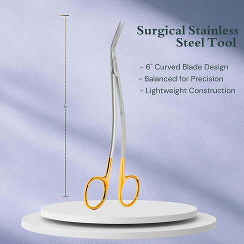 Dean Scissors Curved – Dental Surgical Scissors for Suture Cutting | Angled Stainless Steel with Gold Handle | Autoclavable Oral Surgery Instrument C-0632 in Kuwait