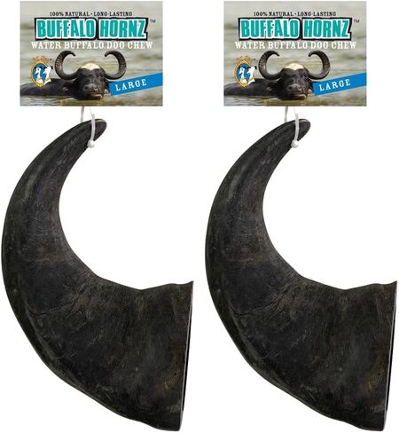 QT Dog - Buffalo Horn Large in Kuwait