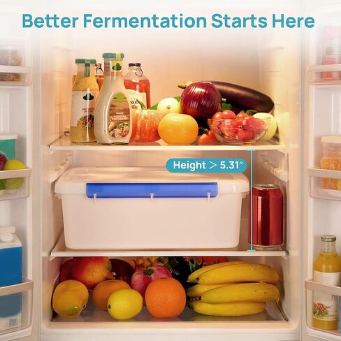 Vtopmart 2 Pack Pizza Dough Proofing Box, Pizza Dough Container with Snap-on Lids, BPA Free Food Storage Containers with Lids and Buckle-Up Latches, Bread Proofing Box Fits 4-6 Balls in Kuwait