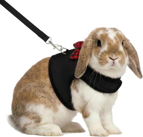 Hypeety Bunny Kitten Harness No Pull Cat Leash Stylish Vest Harness for Small Animal Adjustable Soft Breathable Walking Harness Set (Black, S) in Kuwait