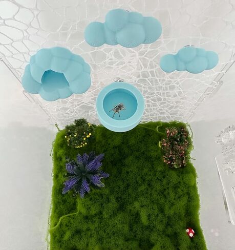 Jumping Spider Accessories Set – 6 Pcs Sky Theme Kit with Cloud Platforms, Magnetic Mounts, White Feeder Dish, and Light Blue Web Decor for Jumping Spider Exploration & Climbing in Saudi Arabia