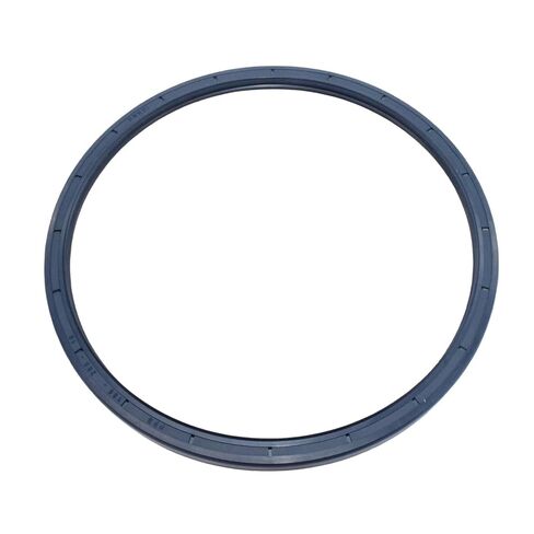 Oil Seal 185×205×10 in Saudi Arabia