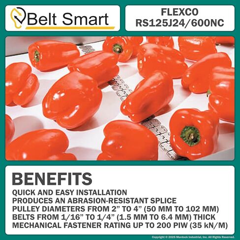 Genuine Flexco RS125J24/600NC Alligator Ready Set Staple Fastener (Box of 4 Sets) - Includes 10 Additional 125-RET Retaining Washers in Kuwait