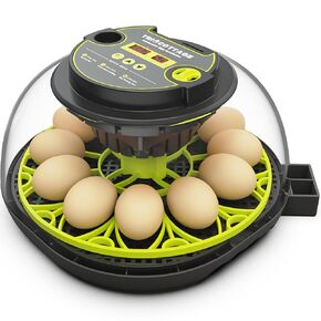 Incubators for Hatching Eggs 12 Egg Incubator with Automatic Egg Turning and Humidity Control,Egg Candler,Auto Water Replenishment,for Chicken Eggs and Quail Egg M12H in Kuwait