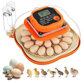 18 Egg Incubators for Hatching Eggs, Automatic Egg Turning and Humidity Control Incubator for Hatch Chicken Duck Quail Pigeon Pheasant Partridge Home Classroom Lab- in Kuwait