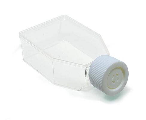 SPL Cell Culture Flask 25 cm2 (T25) Filter Cap, Non-Treated, Sterile, 200/Case in Saudi Arabia