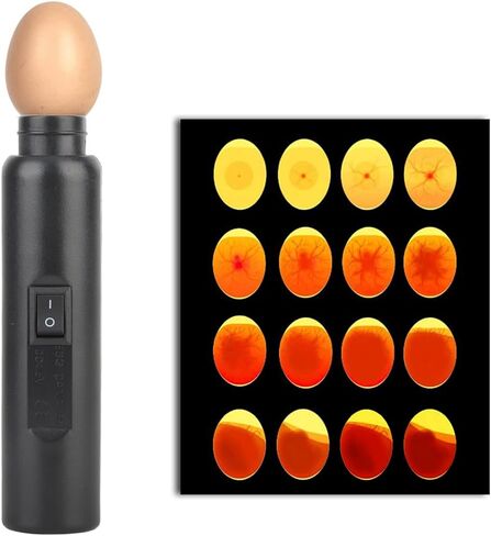 Bright Cool LED Light Egg Candler Tester High Cool LED Light Candling Lamp for Monitoring Eggs Development with 2 Soft Rubber (TypeA) in Saudi Arabia