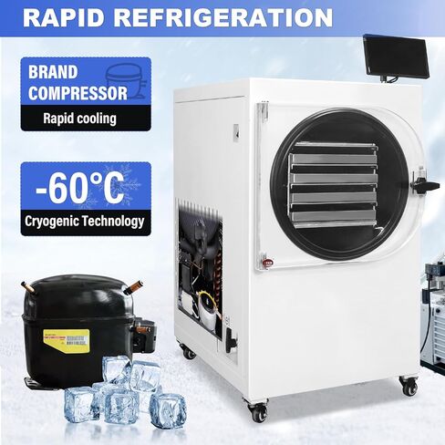US In Stock LABFENG -60℃ Freeze Dryer for Home & Commercial Use, 4 Large Stainless Steel Trays, 0.46㎡ Drying Area, Fast Efficient Drying for Meat, Fruits, Pet Food in Kuwait