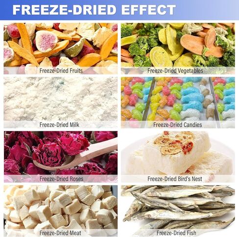 US In Stock LABFENG -60℃ Freeze Dryer for Home & Commercial Use, 4 Large Stainless Steel Trays, 0.46㎡ Drying Area, Fast Efficient Drying for Meat, Fruits, Pet Food in Kuwait