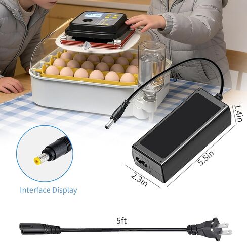 12V 5A Egg Incubator Charger Compatible with MATICOOPX Egg Hatching Incubator Power Supply Poultry Hatching Equipment Power Adapter Cord in Kuwait