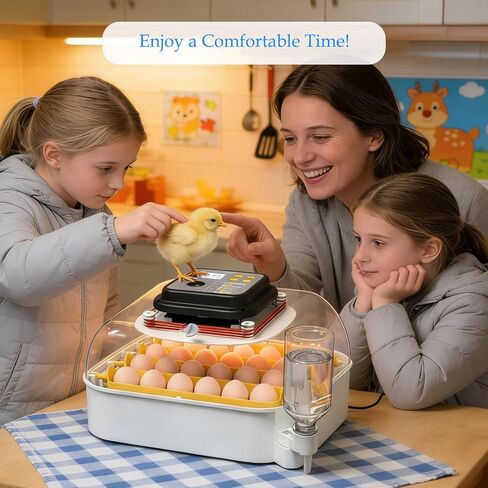 12V 5A Egg Incubator Charger Compatible with MATICOOPX Egg Hatching Incubator Power Supply Poultry Hatching Equipment Power Adapter Cord in Kuwait