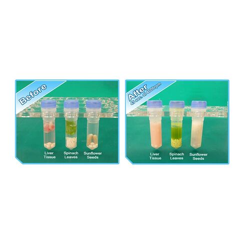 Benchmark Scientific D1036 BenchMark Scientific BeadBug 6 Microtube Homogenizer, 115V in Kuwait