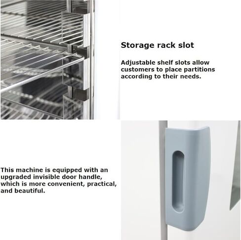 Digital Forced Air Convection Drying Oven 210L Lab Blast Drying Oven RT+50-572℉ 304 Stainless Steel Chamber 220v 3kw in Kuwait