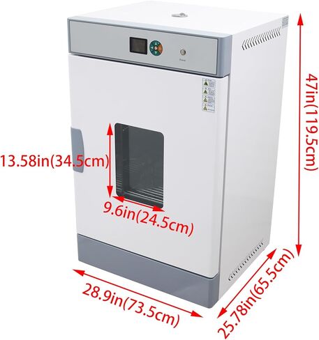 Digital Forced Air Convection Drying Oven 210L Lab Blast Drying Oven RT+50-572℉ 304 Stainless Steel Chamber 220v 3kw in Kuwait