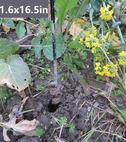 TCBWFY Garden Auger مثقاب للزراعة 1.6 بوصة × 16.5 بوصة و3.5 بوصة × 16 بوصة، أداة زرع لمبة شديدة التحمل لحفر الثقوب، متوافقة مع مثقاب محرك سداسي مقاس 3/8 بوصة in Kuwait