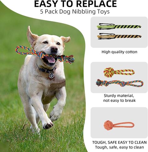 عمود مغازلة للكلاب ، القطب القابل للتمديد للكلاب مع ألعاب تفاعلية قابلة للانفصال عصا الدعال مع لعبة مضغ إغراء لممارسة الرياضة في الهواء الطلق وتدريب ألعاب تفاعلية للكلاب الثقيلة in Kuwait