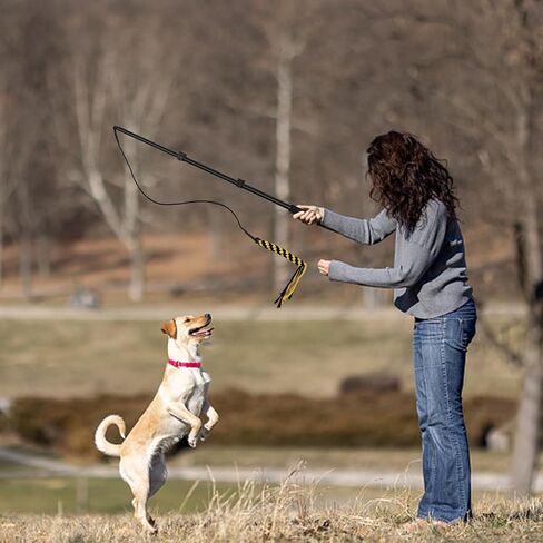 عمود مغازلة للكلاب ، القطب القابل للتمديد للكلاب مع ألعاب تفاعلية قابلة للانفصال عصا الدعال مع لعبة مضغ إغراء لممارسة الرياضة في الهواء الطلق وتدريب ألعاب تفاعلية للكلاب الثقيلة in Kuwait