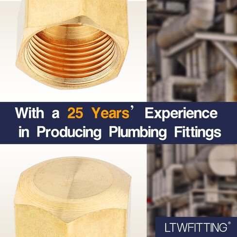 LTWFITTING 3/8-Inch Brass Compression Cap Stop Valve Cap,Brass Compression Fitting(Pack of 60) in Saudi Arabia