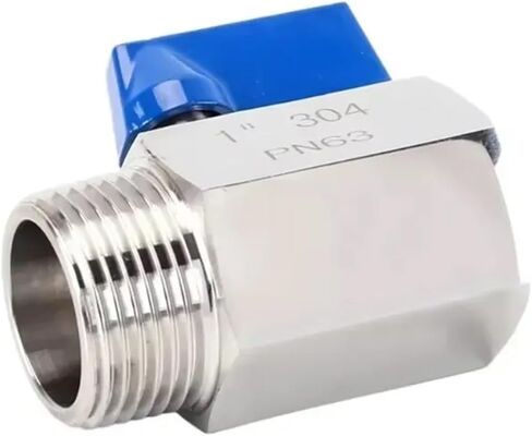 1/8 "1/4" 3/8 "1/2" 3/4 "1" BSP أنثى ذكر 304 316 الفولاذ المقاوم للصدأ الصحية صمام كروي صغير البيرة مع مقبض (1/8 "، أنثى إلى أنثى_مقبض أزرق_BSP SUS 316L) in Kuwait