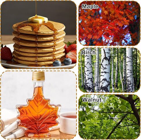 5 Set Maple Syrup Tapping Kit with 5 Buckets 16ft Food Grade Tubing 5 Taps Maple Sap,Maple Tree Tapping Kit Collection Supplies Syrup Tree Taps for Experts or Beginners in Saudi Arabia