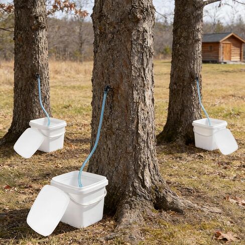 5 Set Maple Syrup Tapping Kit with 5 Buckets 16ft Food Grade Tubing 5 Taps Maple Sap,Maple Tree Tapping Kit Collection Supplies Syrup Tree Taps for Experts or Beginners in Saudi Arabia