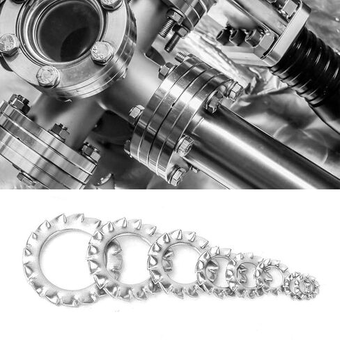 YWBL-WH 300Pcs Serrated Lock Washer 304 Stainless Steel Anti-Loose External Serrated Gasket Assortment Set, Gasket Retaining Ring in Saudi Arabia