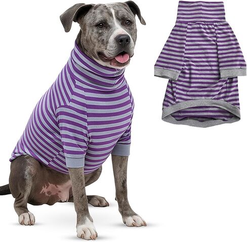 Tooth & Honey Big Dog/Stripe Shirt/Pullover/Full Belly Coverage/for Big Dogs/Pitbull Shirt/Purple and Grey (Medium) in Kuwait