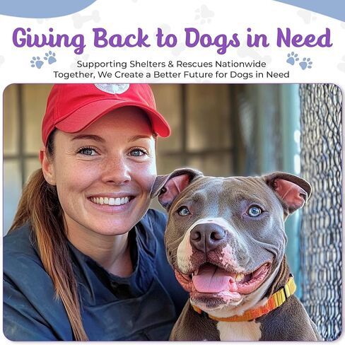 Tooth & Honey Big Dog/Stripe Shirt/Pullover/Full Belly Coverage/for Big Dogs/Pitbull Shirt/Purple and Grey (Medium) in Kuwait