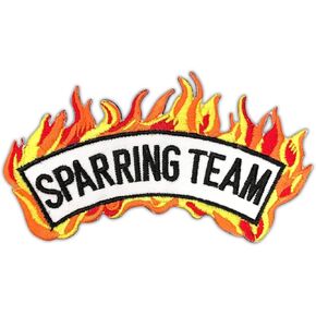 AAMA Sparring Team w/Fire Arch Martial Arts Taekwondo Karate Team Iron On Patch - 1 pc in Kuwait