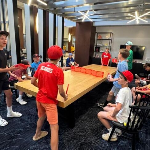 Ping Pong, Reinvented | Any Surface, Indoor or Outdoor Portable Paddle Sport| 3-Speed Foam Balls, 4 Premium Paddles, Free-Standing Net, Carry Bag: Whisper Quiet, 60-Sec Setup in Saudi Arabia