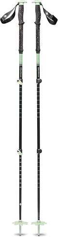Expedition 3 Ski Poles in Saudi Arabia