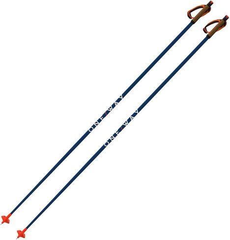 Fischer Storm 5 Mag Ski Poles - Durable Lightweight Easy-to-Use Outdoor Winter Sports Nordic Race Poles with Magnetic Quick-Release Grip System & Click-Lock Strap in Saudi Arabia