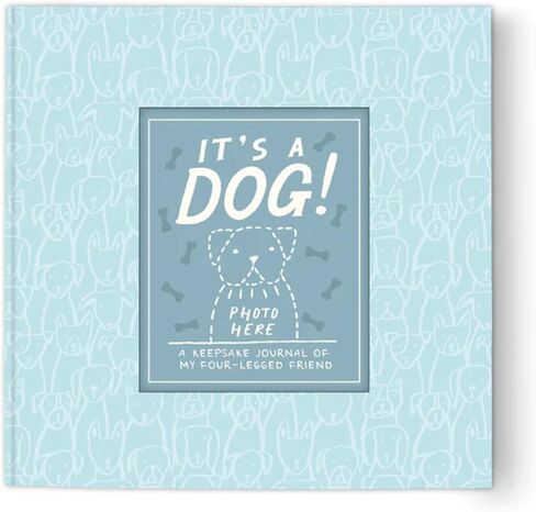 Studio Oh! It's a Cat! A Keepsake Journal, 104 Pages, Hardcover Pet Journaling Notebooks with Photo Frame Cover, 5 Divider Pockets for Memento Keepsake Storage, Lay Flat Design, 120 GSM Paper in Saudi Arabia