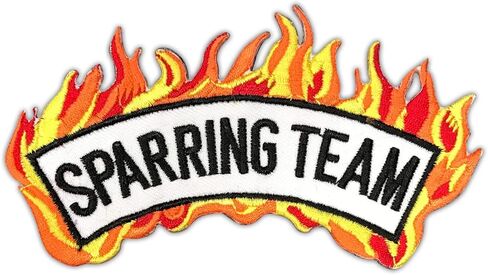 AAMA Sparring Team w/Fire Arch Martial Arts Taekwondo Karate Team Iron On Patch - 1 pc in Kuwait