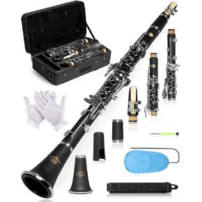 AKLOT B Flat Concert Clarinet: Precision Tone Hole Design for Stable Intonation, Durable Nickel-Plated Keys, Including Stylish Case, Barrel, Full Clarinet Cleaning Kit (Ember-MN) in Kuwait