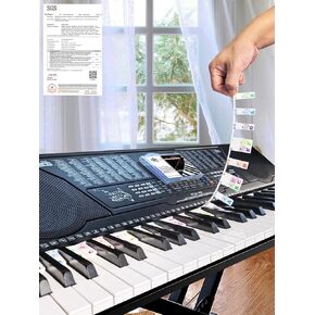 ملصقات ملاحظات البيانو قابلة للإزالة لـ 61-54-49-37 لوحة مفاتيح قياسية كاملة الحجم، ملصقات مفاتيح البيانو، شرائط سيليكون قابلة لإعادة الاستخدام للأطفال المبتدئين (لوحات الموظفين ملونة) in Kuwait