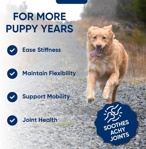 iHeartDogs Hip & Joint Supplement for Dogs - Advanced 8-in-1 Dog Joint Supplement Chews with Glucosamine, Chondroitin, Turmeric, Devil's Claw, Green Lipped Mussel, Hemp, Yucca, Boswellia & MSM - 90 Ct in Kuwait