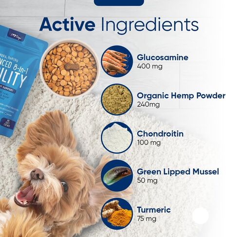 iHeartDogs Hip & Joint Supplement for Dogs - Advanced 8-in-1 Dog Joint Supplement Chews with Glucosamine, Chondroitin, Turmeric, Devil's Claw, Green Lipped Mussel, Hemp, Yucca, Boswellia & MSM - 90 Ct in Kuwait