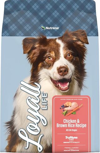 Nutrena Loyall Life All Life Stages Chicken and Rice Dog Food (20 Pounds), 1 Count (Pack of 1) in Saudi Arabia