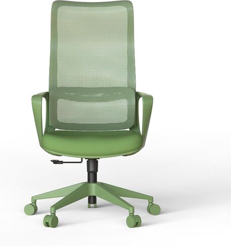 Ergonomic Colorful Office Chair 300lb (About 149.7kg) Home Office Mesh Breathable High Back, with Adjustable Lumbar Support Computer Chair, Integrated Molded Foam Seat Cushion, Fireproof (Green) in Saudi Arabia