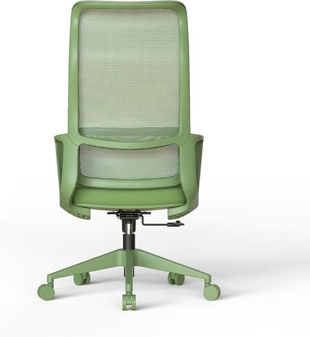 Ergonomic Colorful Office Chair 300lb (About 149.7kg) Home Office Mesh Breathable High Back, with Adjustable Lumbar Support Computer Chair, Integrated Molded Foam Seat Cushion, Fireproof (Green) in Saudi Arabia