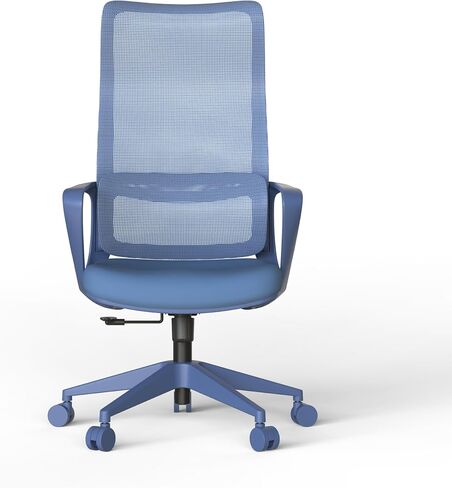 Ergonomic Colorful Office Chair 300lb (About 149.7kg) Home Office Mesh Breathable High Back, with Adjustable Lumbar Support Computer Chair, Integrated Molded Foam Seat Cushion, Fireproof (Green) in Saudi Arabia