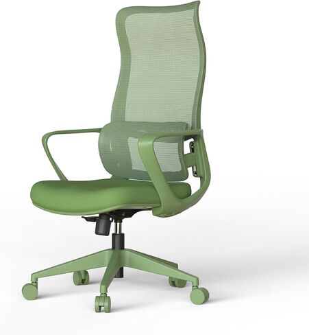 Ergonomic Colorful Office Chair 300lb (About 149.7kg) Home Office Mesh Breathable High Back, with Adjustable Lumbar Support Computer Chair, Integrated Molded Foam Seat Cushion, Fireproof (Green) in Saudi Arabia