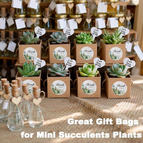 40 أكياس غلاف عصارية محددة مع صندوق هدايا عصر 2.5 بوصة ، علامات مصنع القلب ، شكرا لك ملصقات و Mark Pen ، هدايا رائعة لحفلات الزفاف ، استحمام الأطفال ، حمام الزفاف in Kuwait