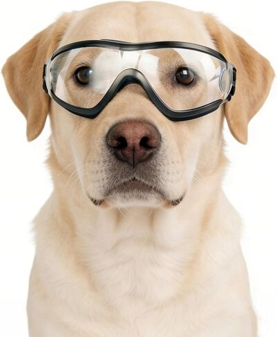 Namsan Clear Dog Goggles Large Breed, UV-Protection Doggie Sunglasses for Medium to Large Dogs, Outdoor Dog Eye Protection, Anti-Fog Anti-Dust Windproof Snowproof, Adjustable Straps, Transparent in Kuwait